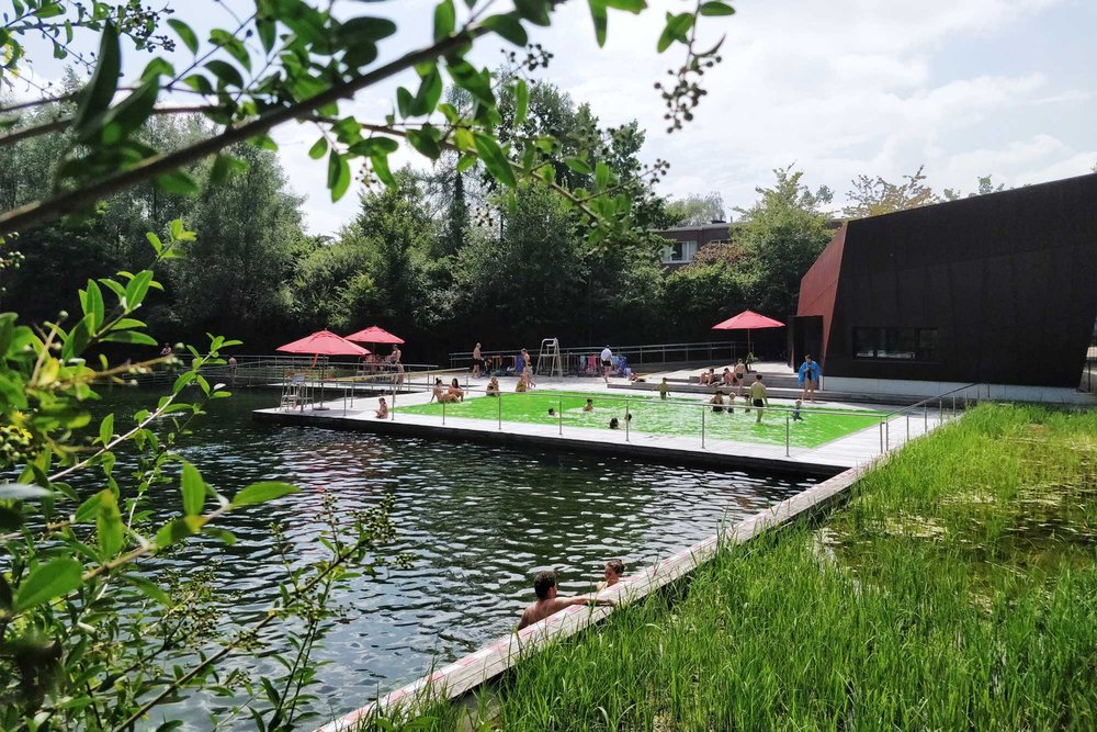  Groot zwembad en klein plonsbad voor kinderen. Op de voorgrond de plantenfilter. 