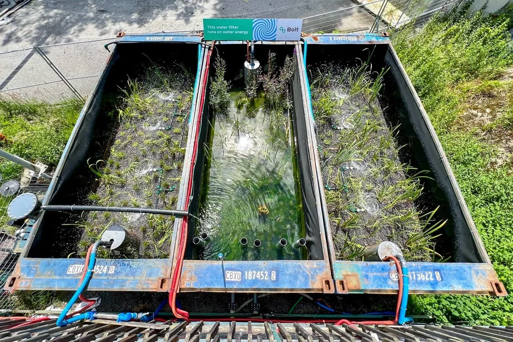 Groß (2024_07).jpeg