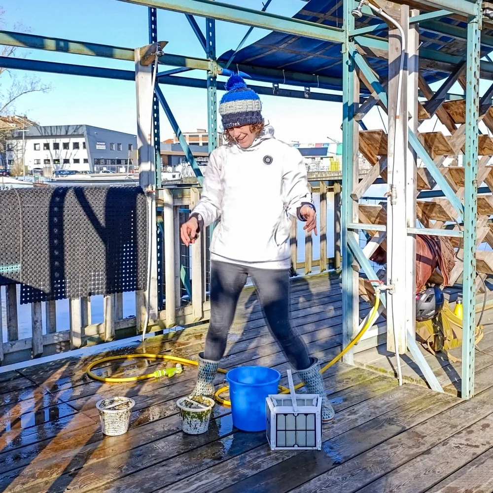 Groß (37_be5ddfd7-f9dd-4dc7-b677-6d3ad3ccb351).jpeg