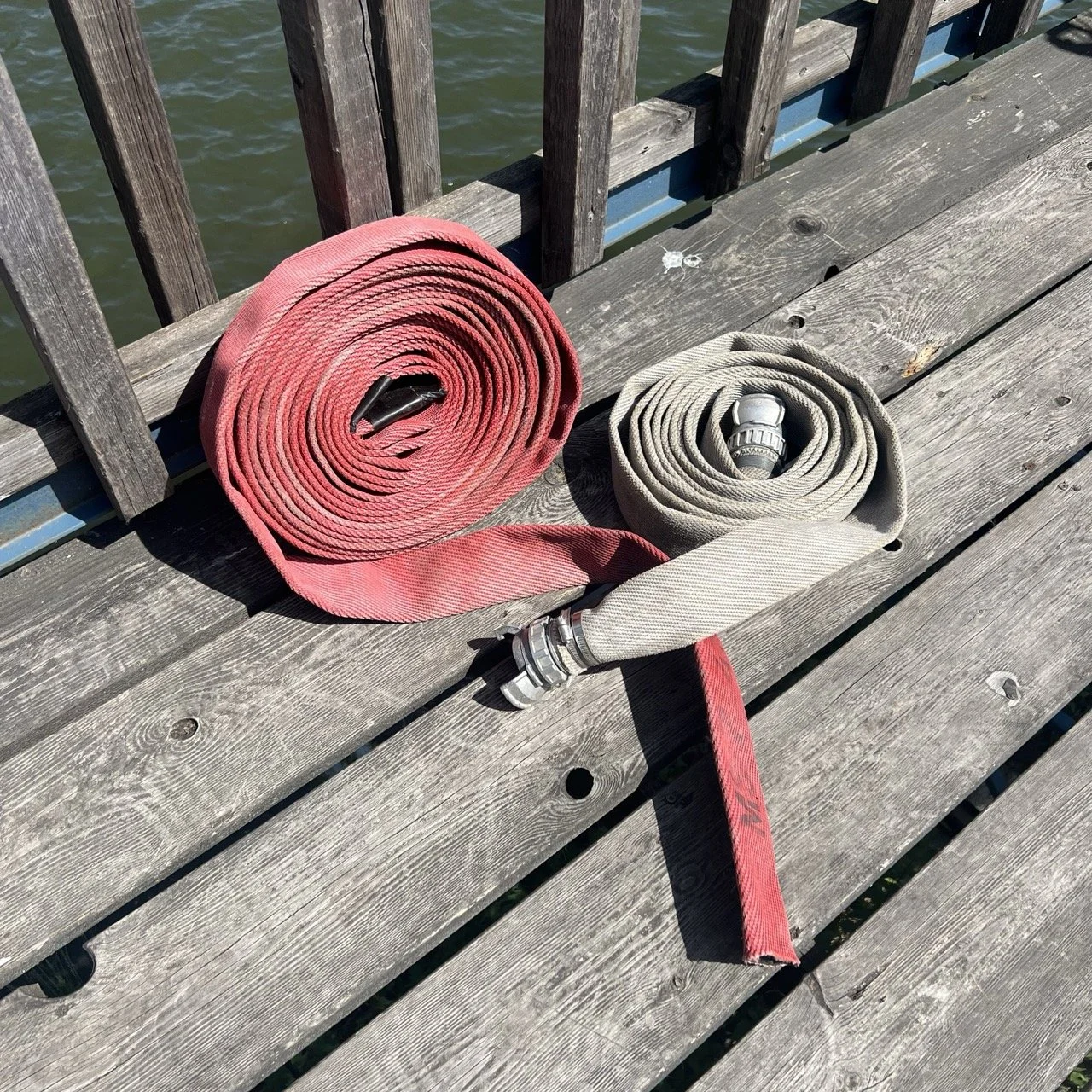 Groß (IMG_4285).jpeg