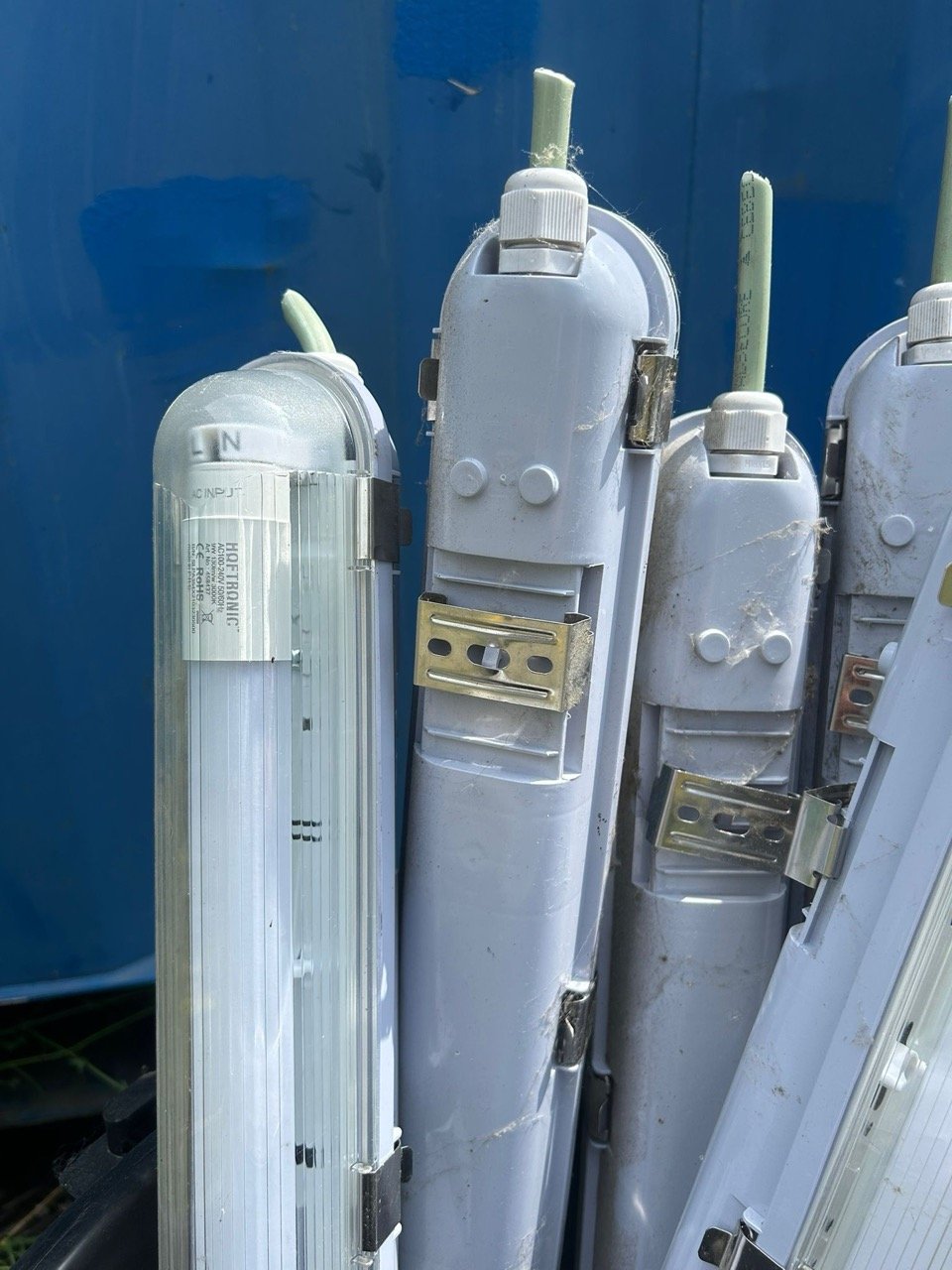 Groß (WhatsApp Image 2025-06-26 at 12.45.24 (2)).jpeg