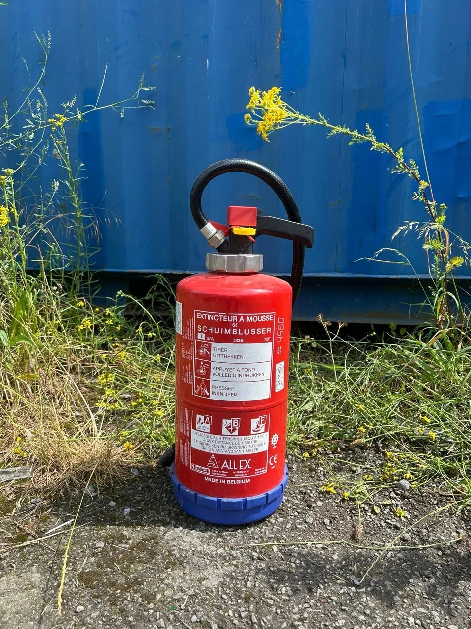 Groß (WhatsApp Image 2025-06-26 at 12.45.24 (3)).jpeg