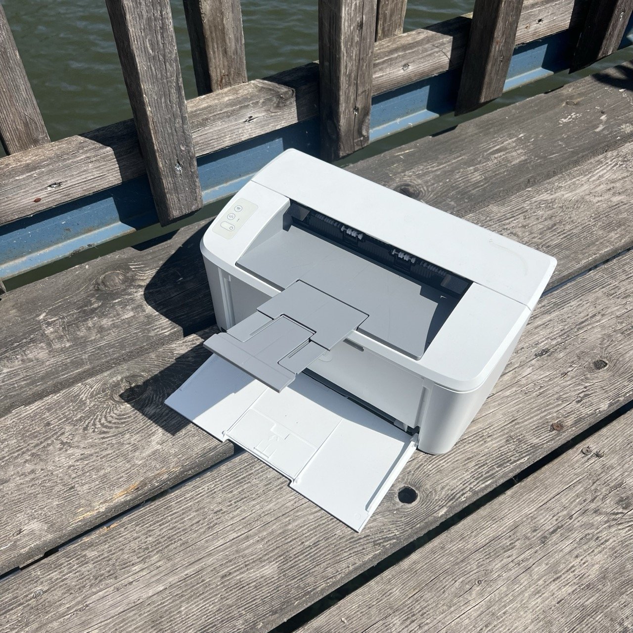 Groß (IMG_4270).jpeg