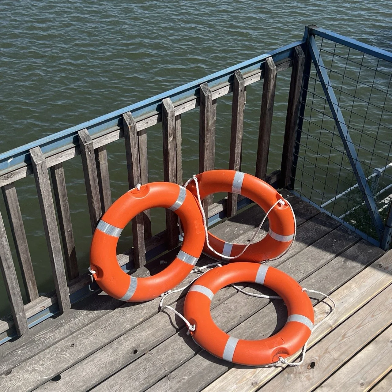 Groß (IMG_4256).jpeg