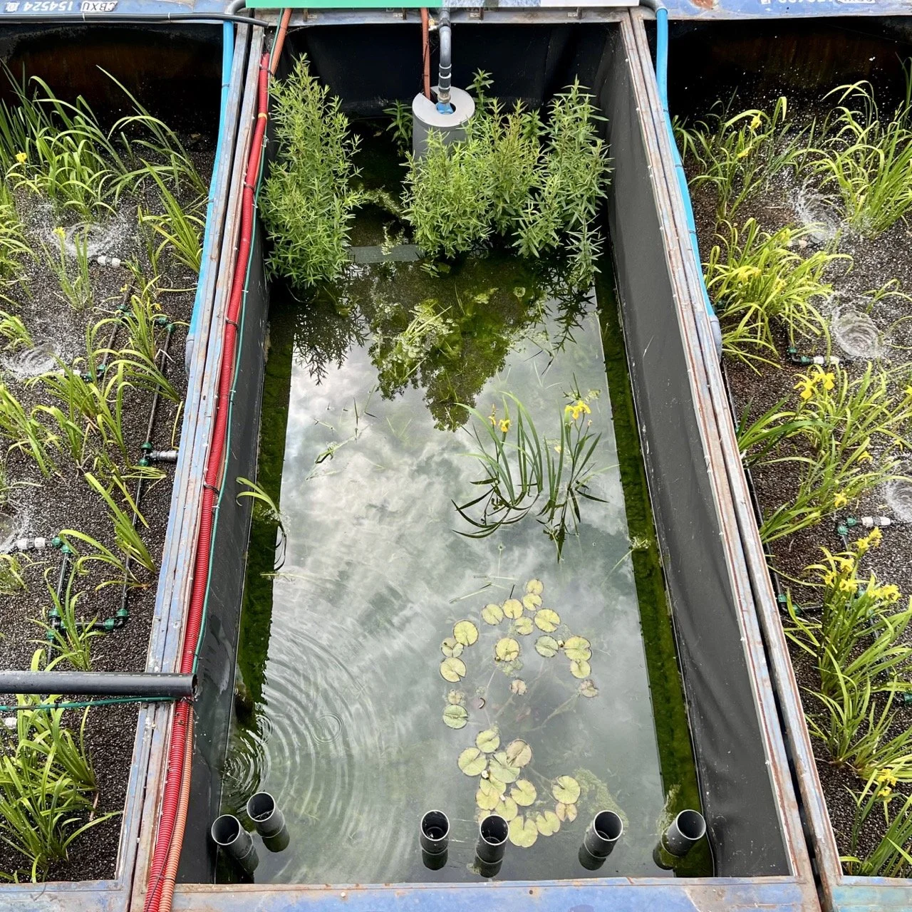 Groß (IMG_3357).jpeg