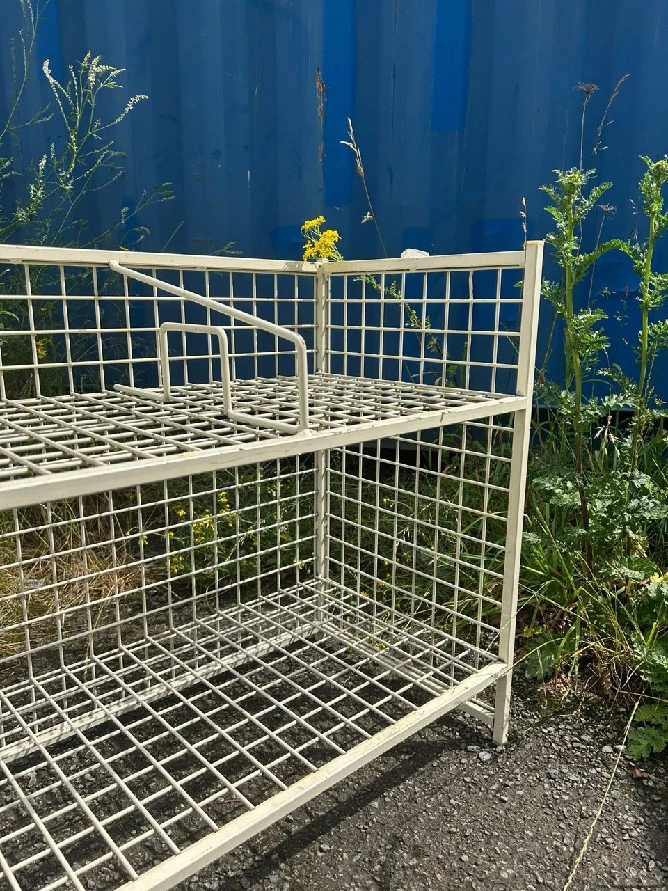 Groß (WhatsApp Image 2025-06-26 at 12.46.51 (1)).jpeg