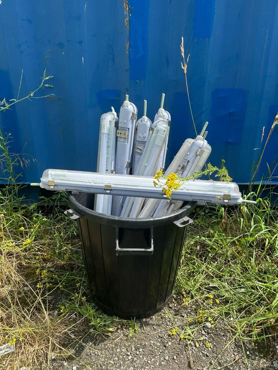 Groß (WhatsApp Image 2025-06-26 at 12.45.24 (1)).jpeg