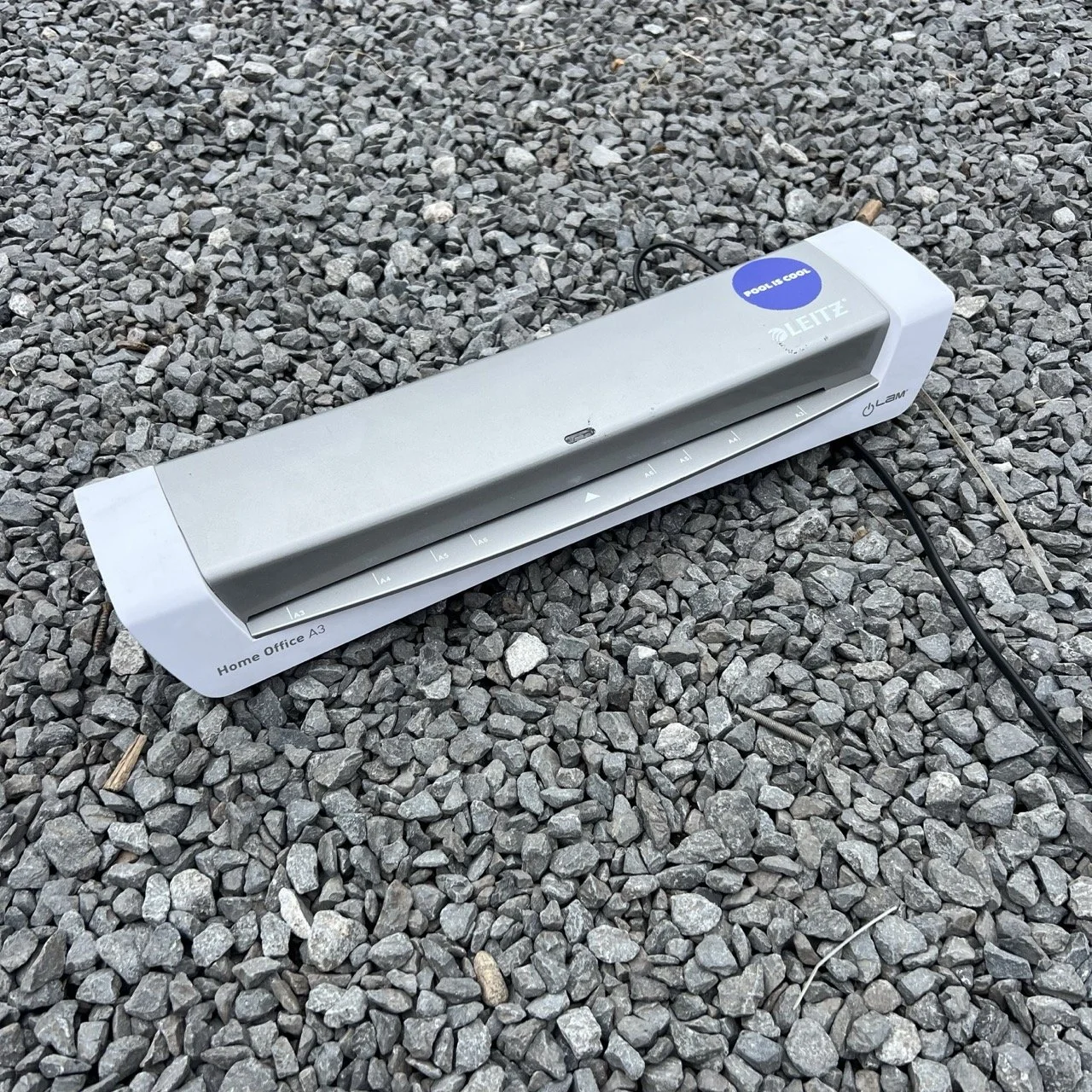 Groß (IMG_4745).jpeg