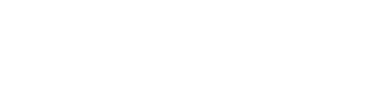 VOR_Logo_Standard_white.png