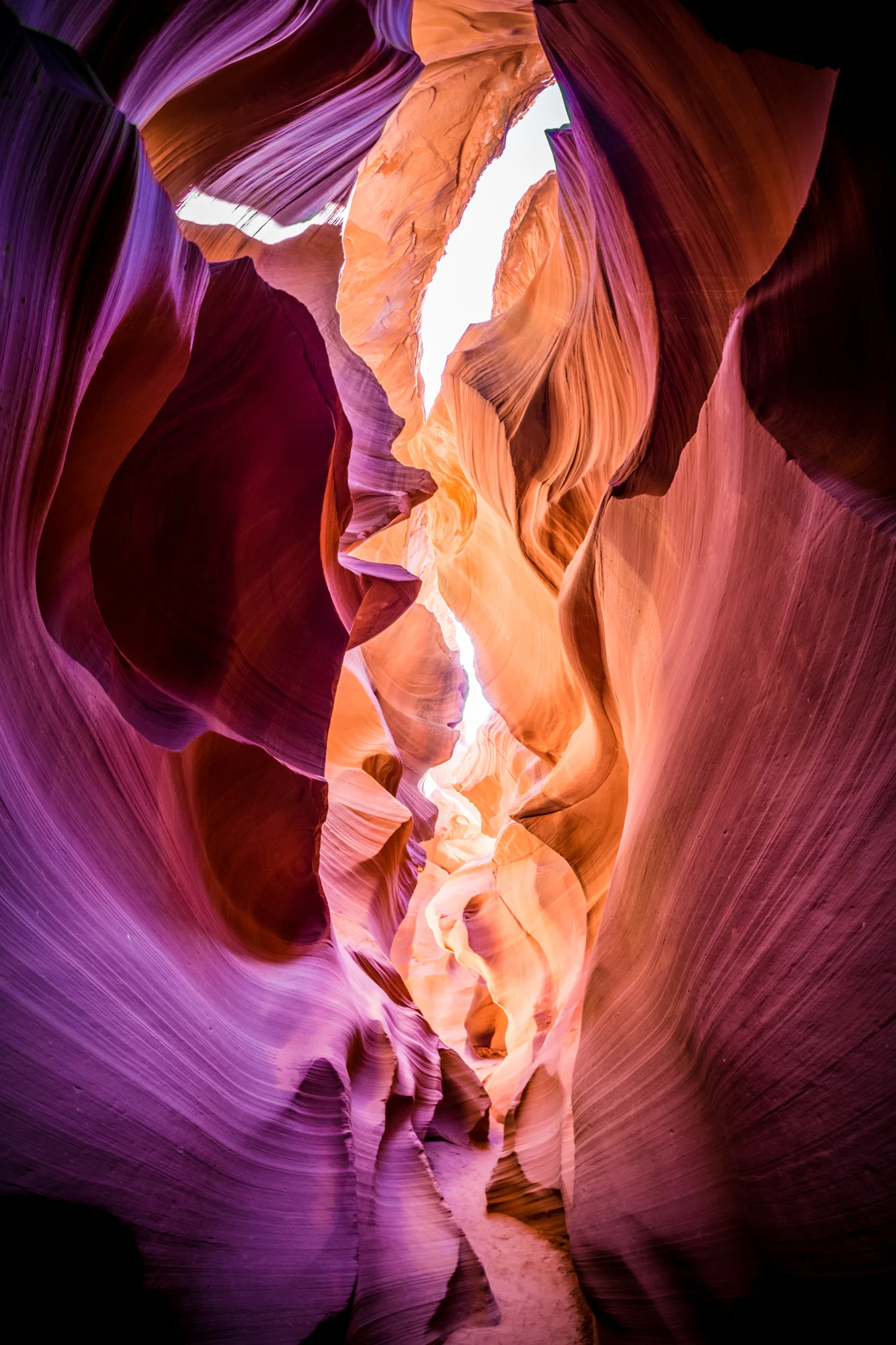 Antelope 180°