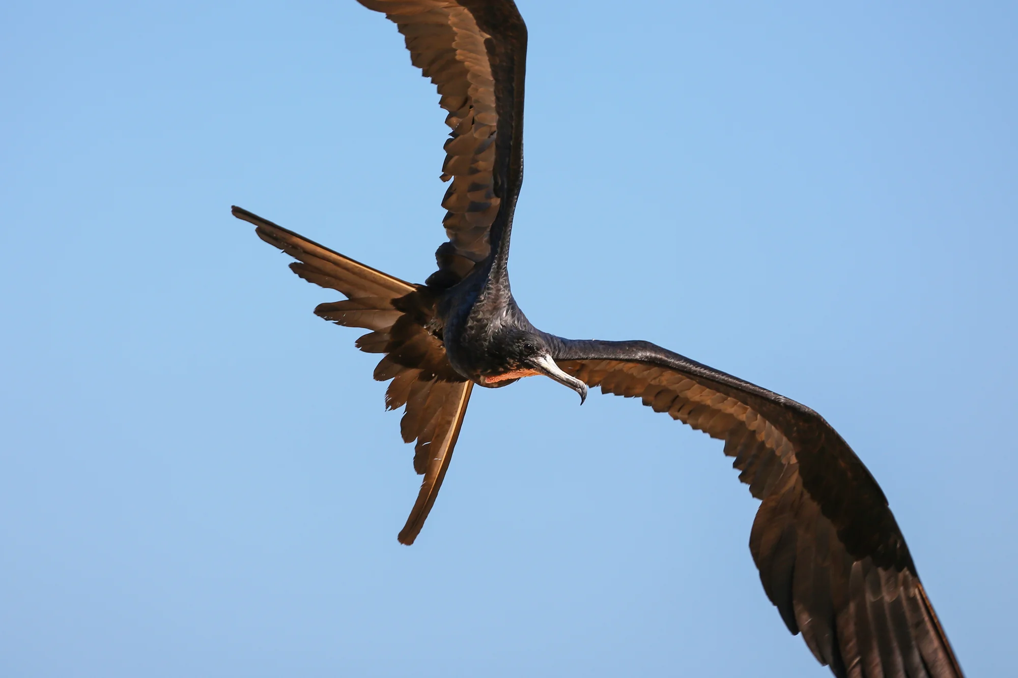 5D3_2566.jpg