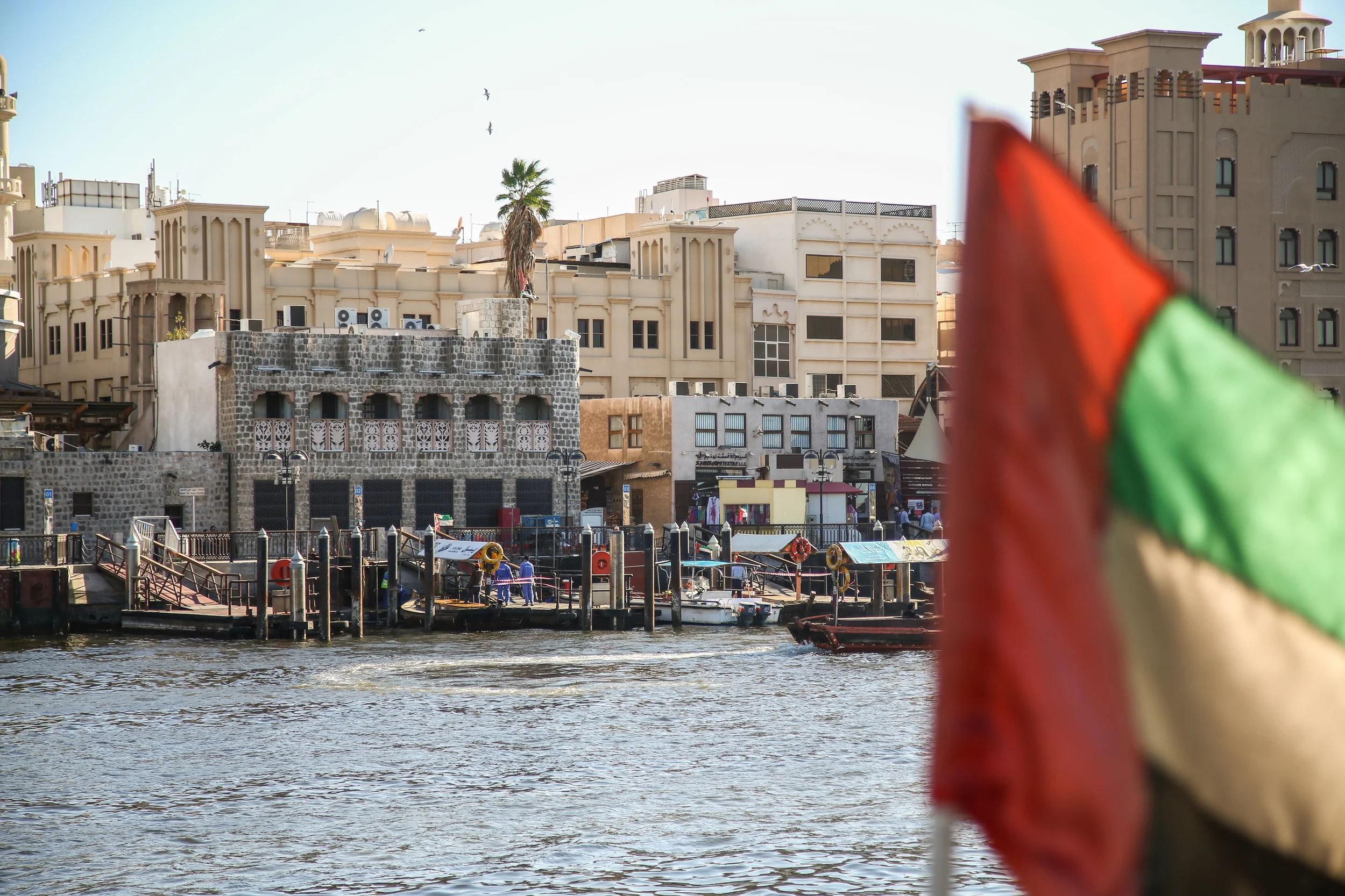 5D3_5553.jpg