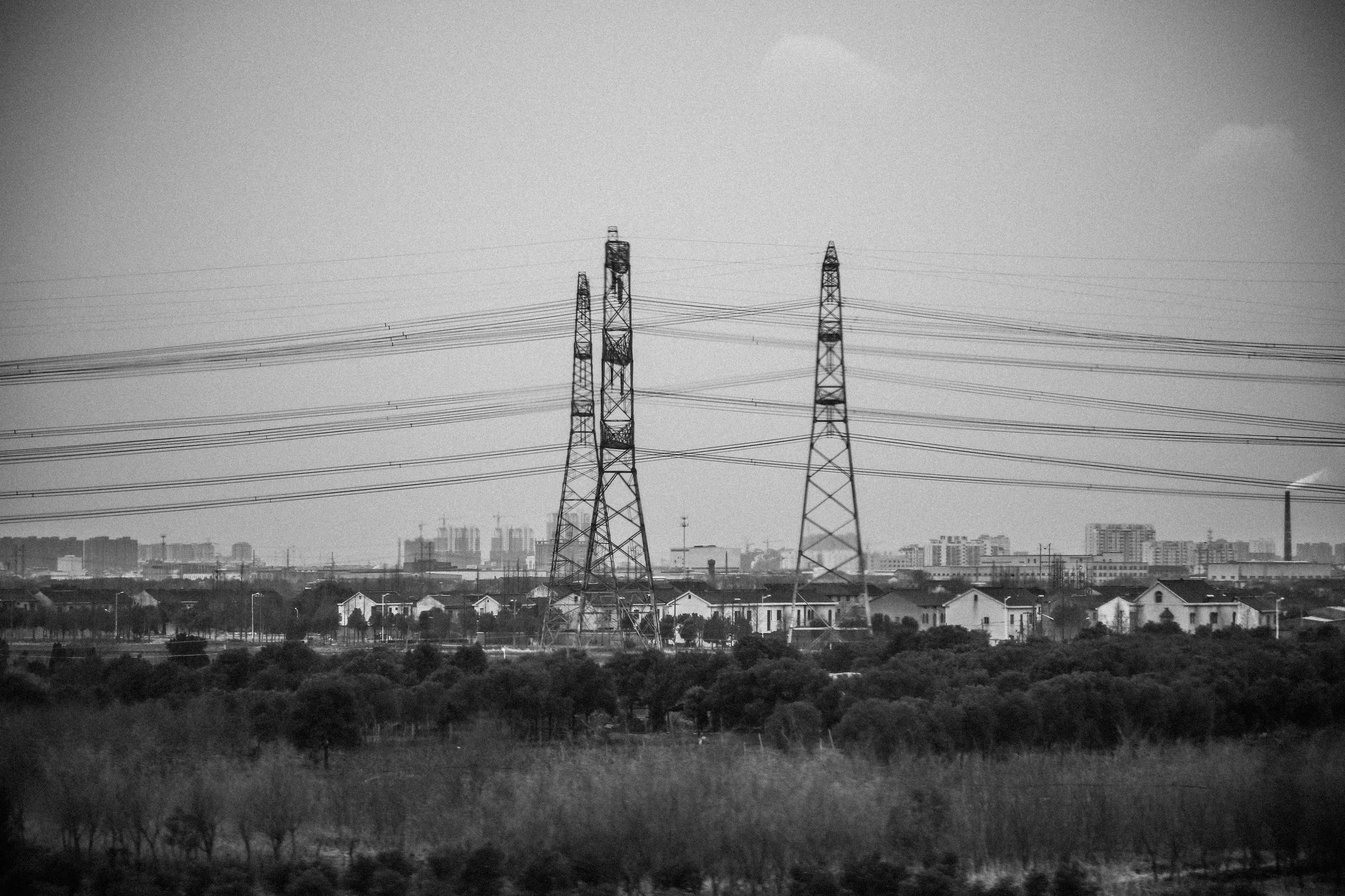 5D3_6093.jpg