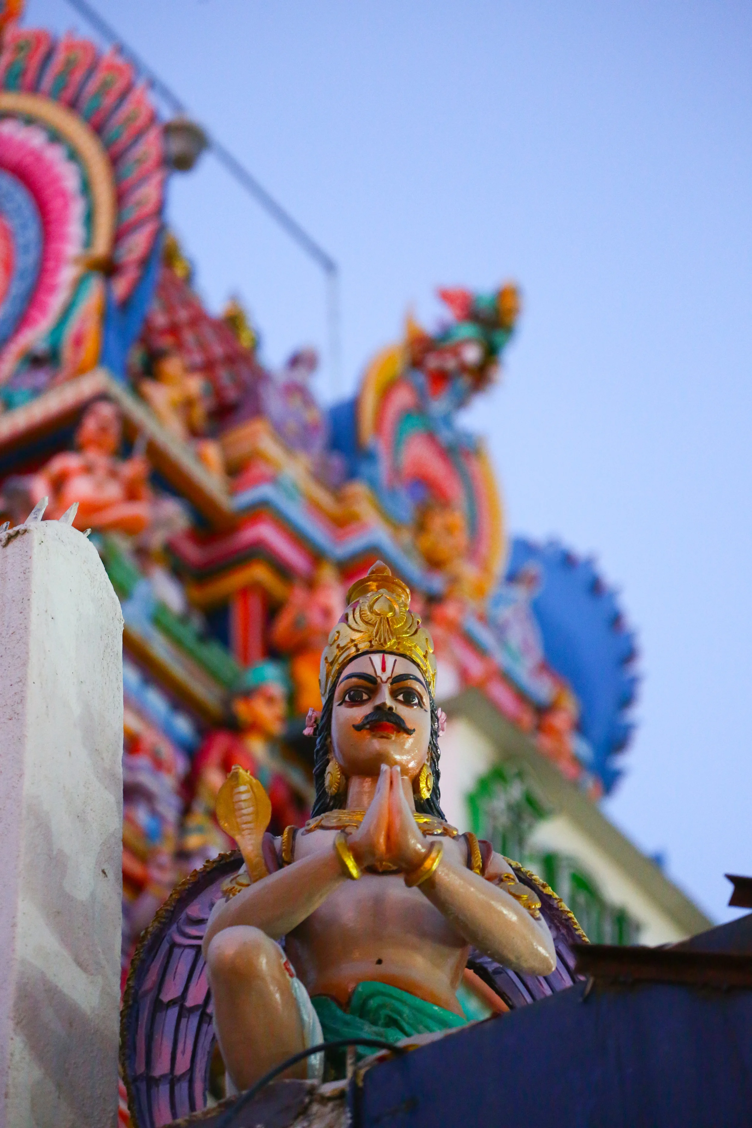 5D3_6894.jpg