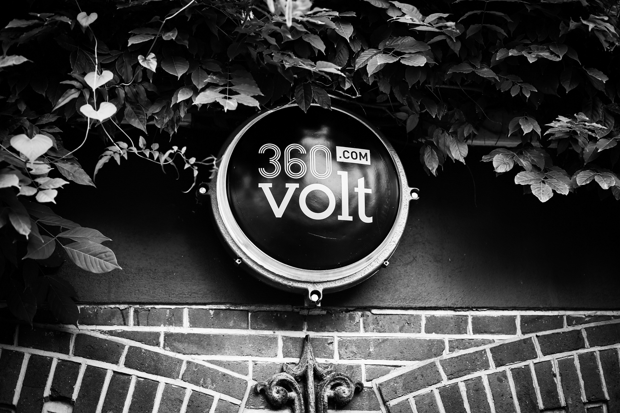 5D3_3540_LR.jpg