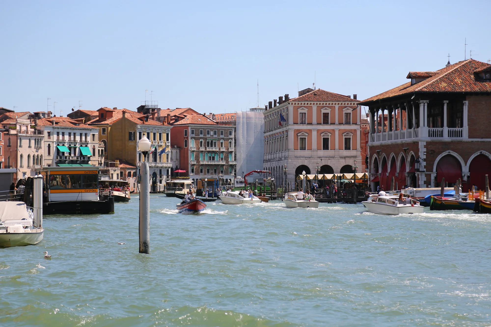 5D3_4939.jpg
