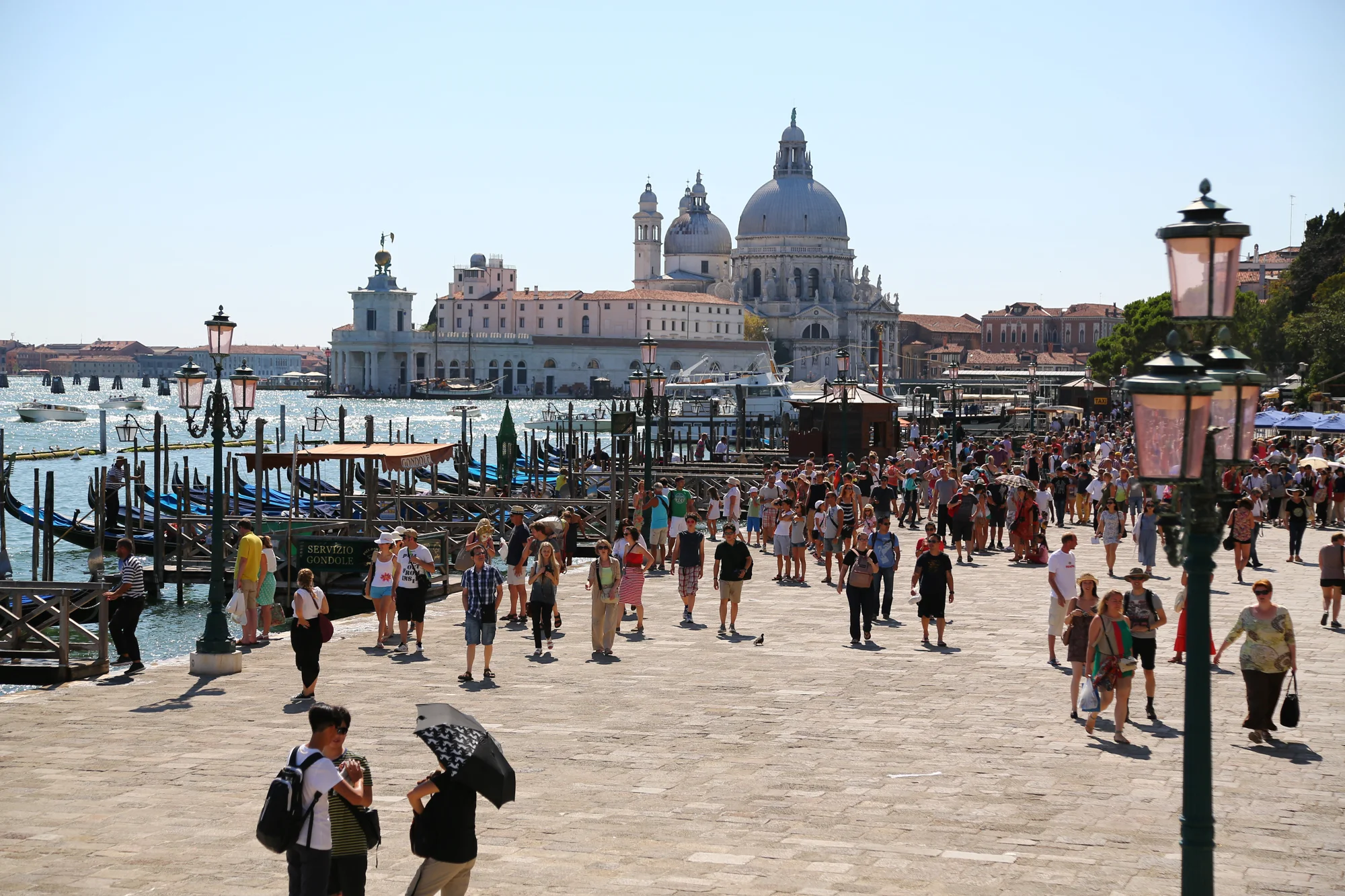5D3_5051.jpg