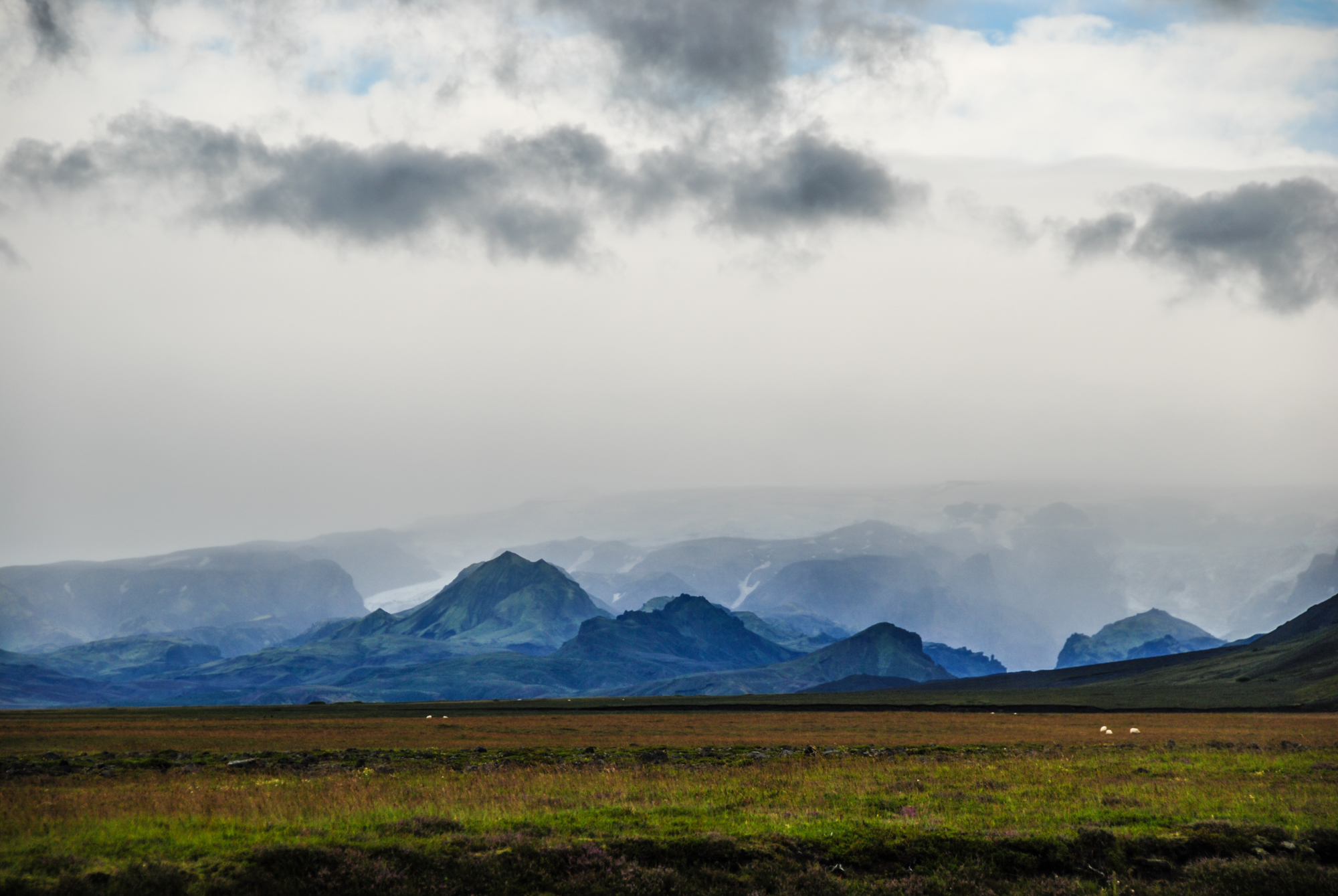 DSC_3661.jpg