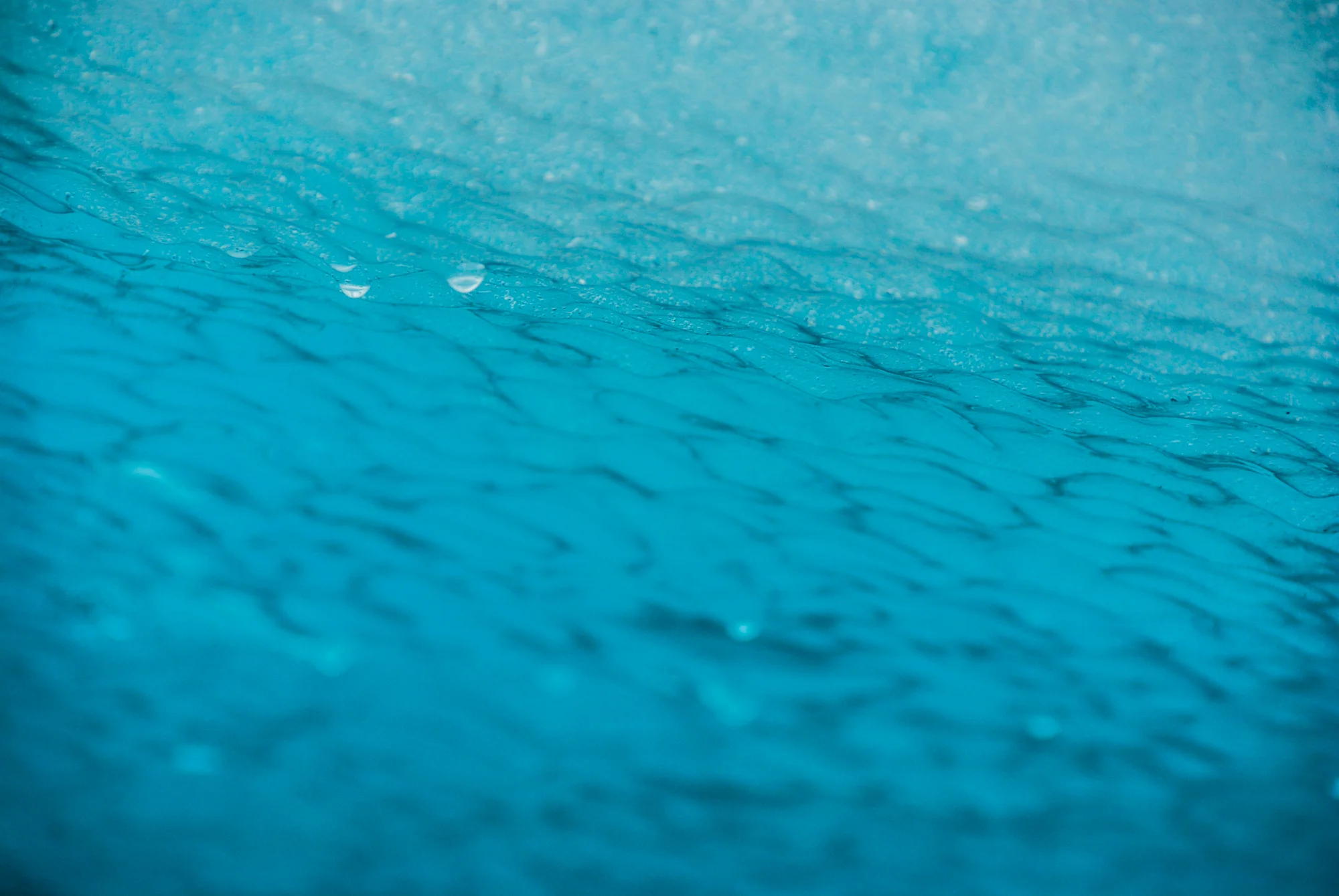 DSC_3897.jpg