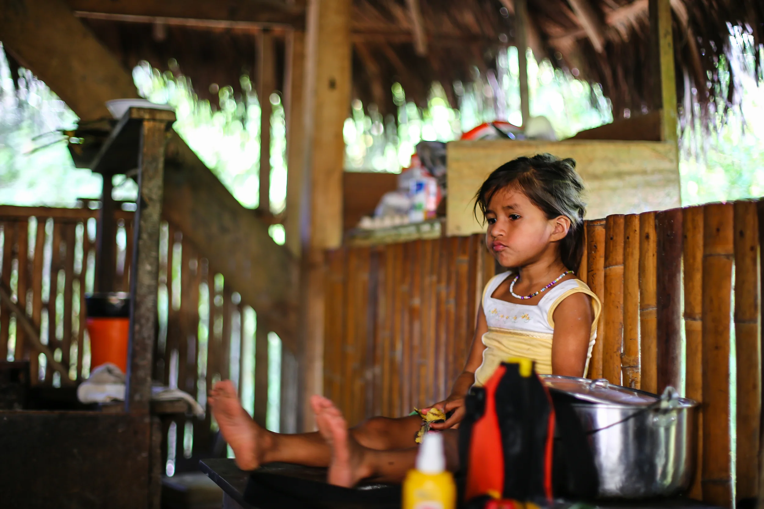 Day 6: Rainforest Excursion and Ecuadorian Rural Life