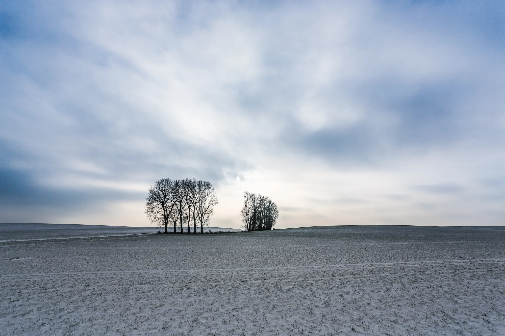5D3_7488.jpg