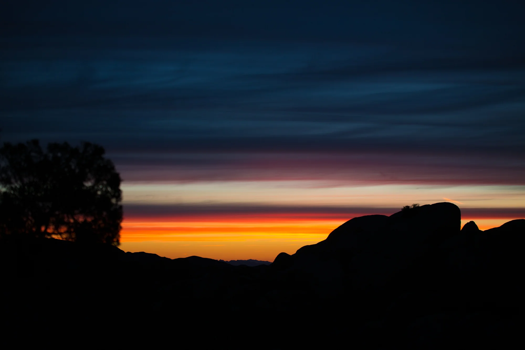 5D3_0247.jpg