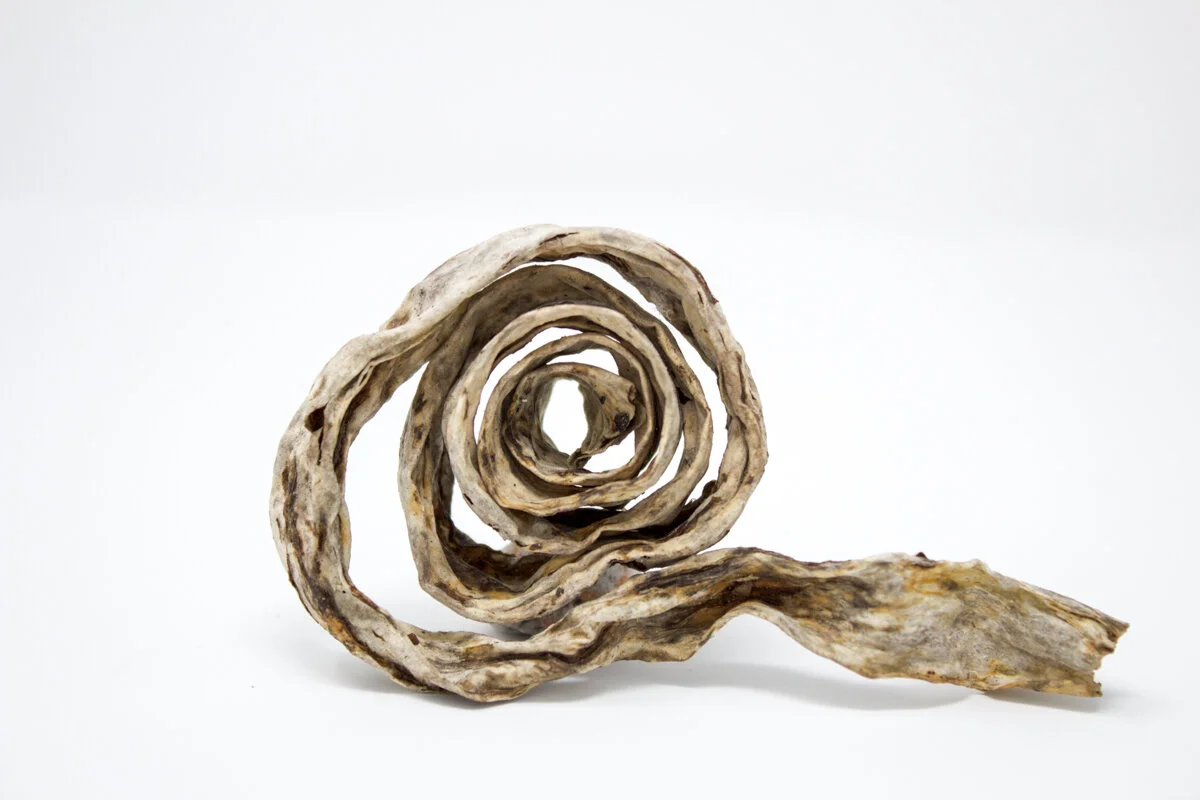 curl.jpg