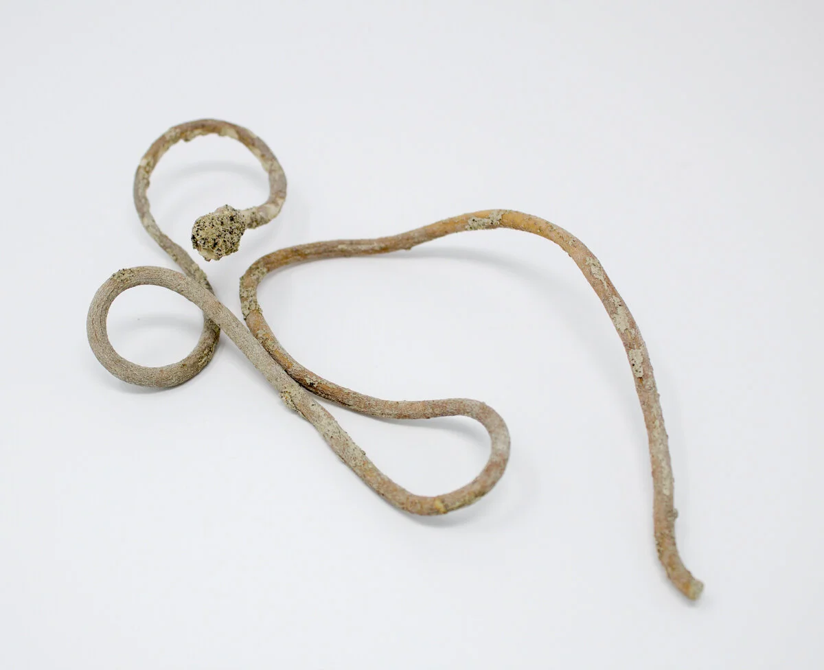 scissor.jpg