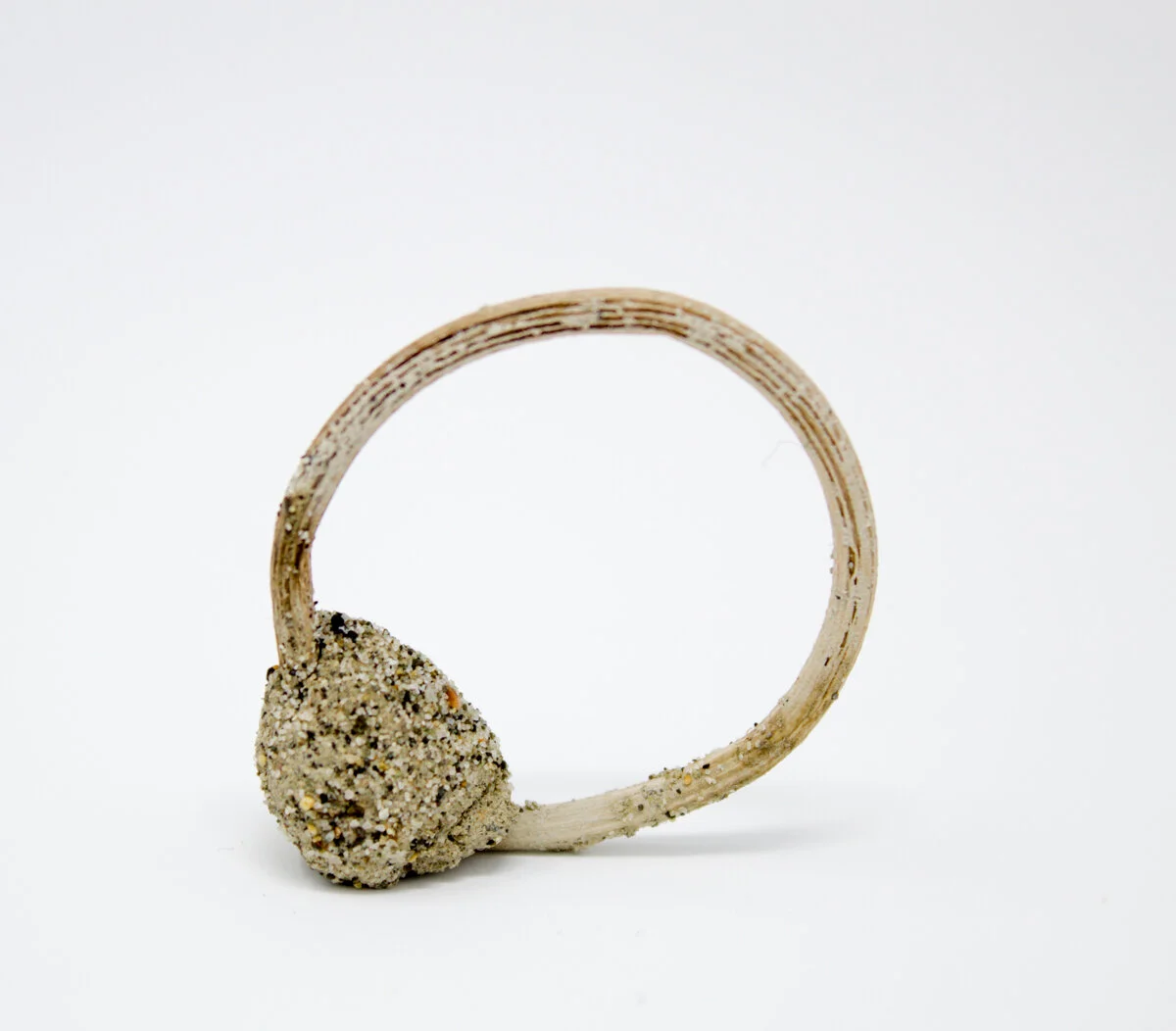 ring.jpg