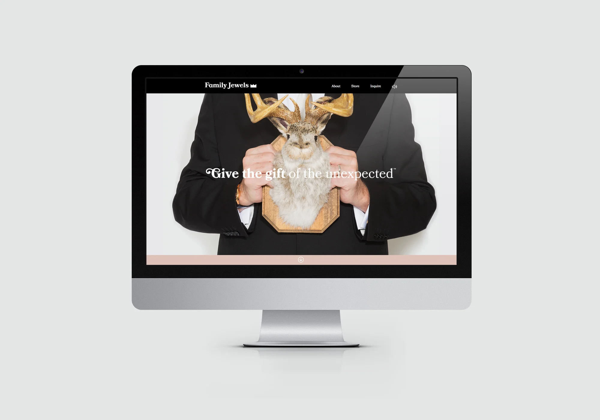 37-C_Richard-Vague_Online-Interactive_Websites_Microsite.jpg