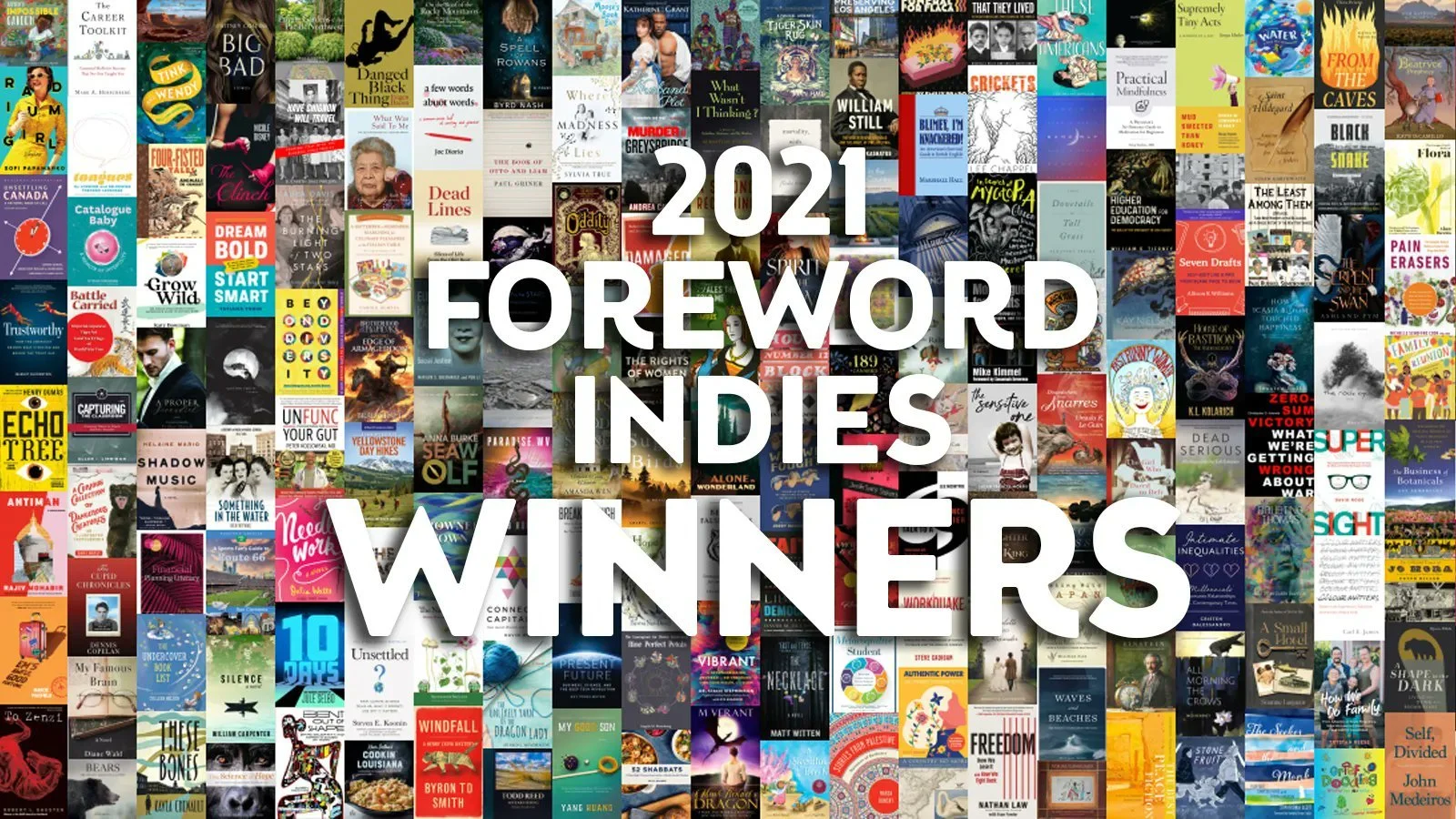 THESE BONES and THE ORIGINAL GLITCH are 2021 Foreword INDIES Award Gold Winners