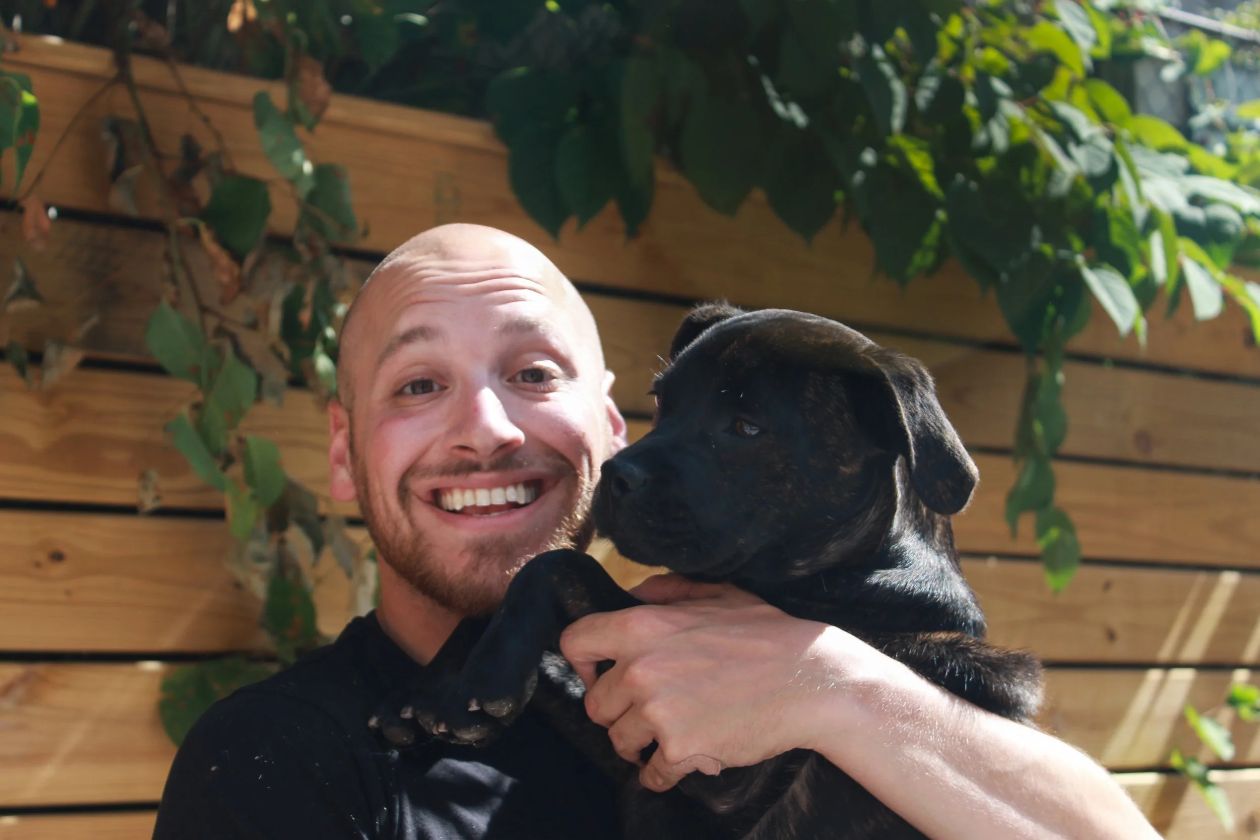 andrew-katz-lanternfish-press