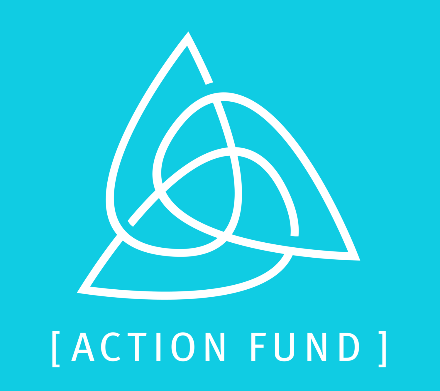 OEC Action Fund