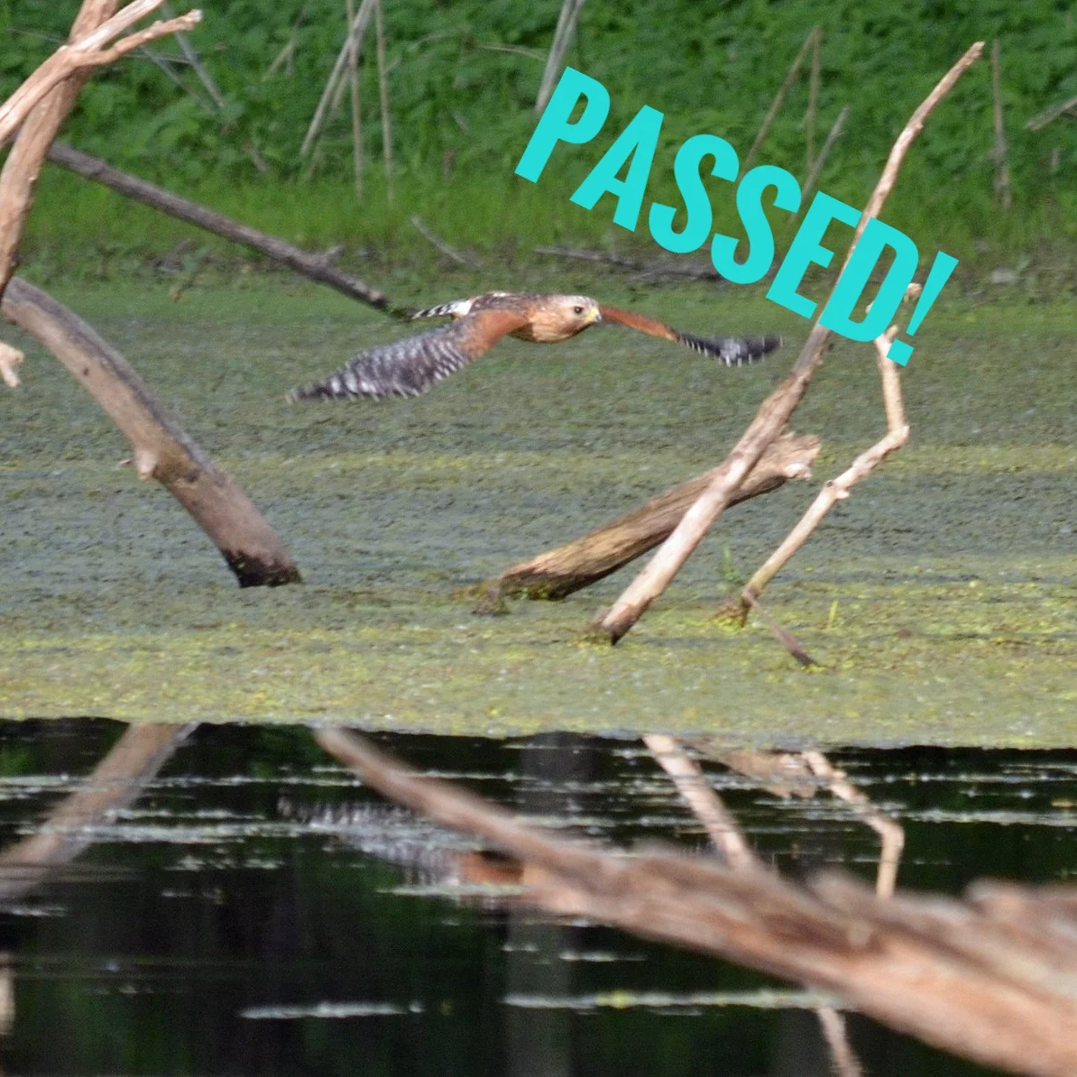 preservation parks.jpg