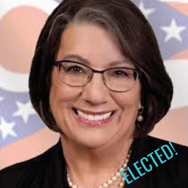 ELECTED.png
