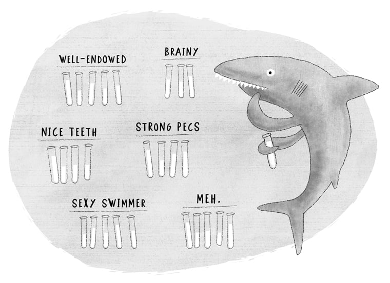 5_shark.jpg