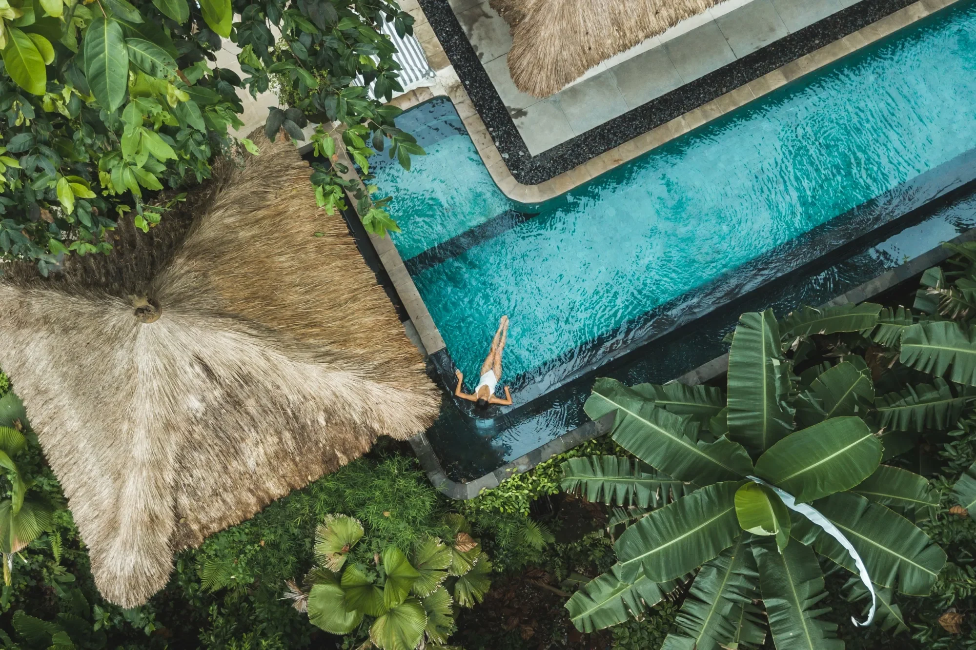 What I learned about five-star service at the harvard of hospitality  