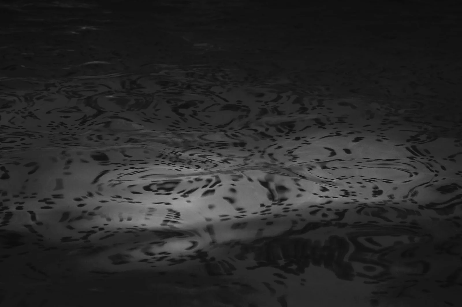 Episode 31: Un'emozione gigante—Sauveterre-de-Béarn, Where Giorgio Spent a Nice Night in a Haunted Pension