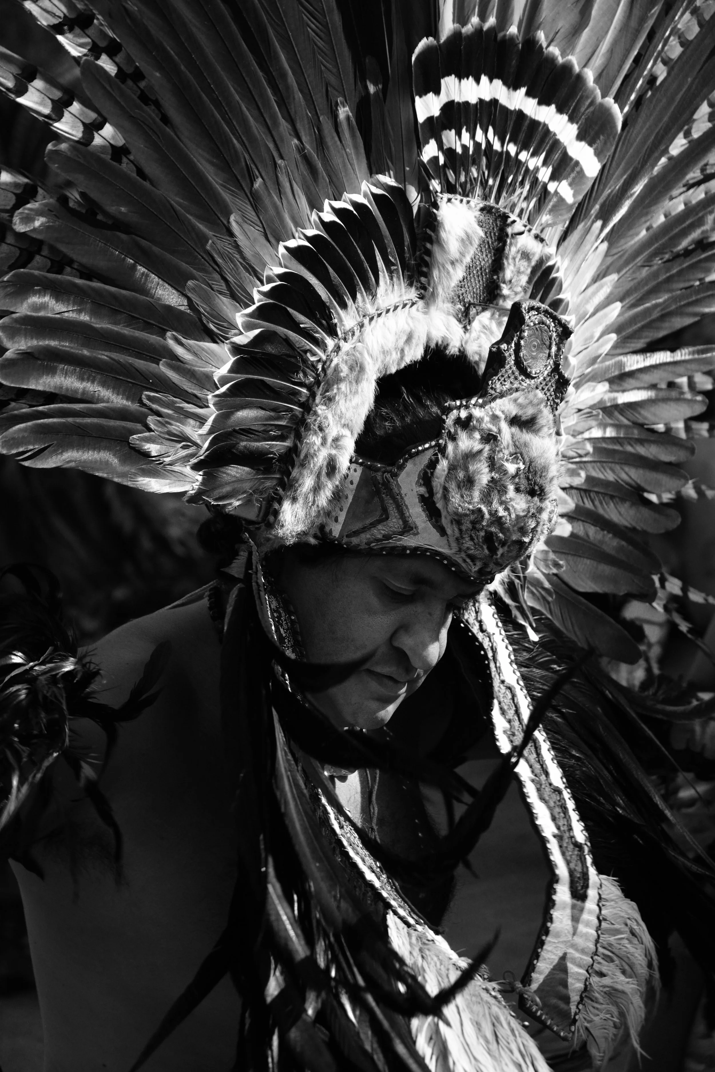 Coyoacán, Mexico 2017