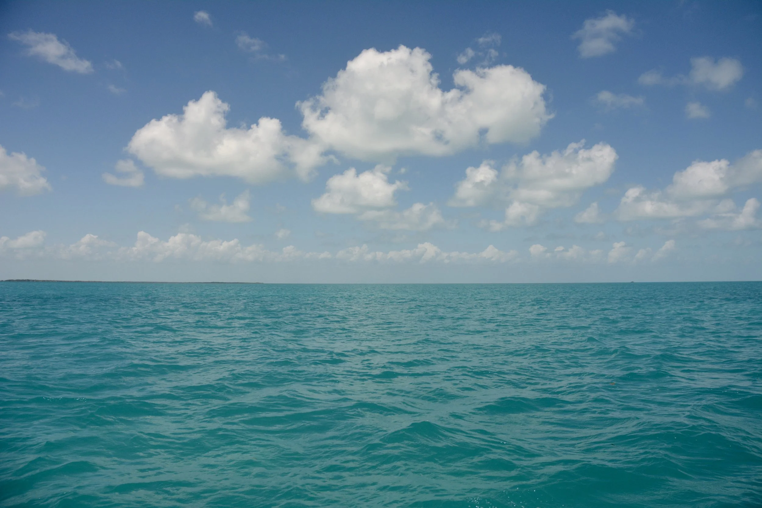 Caye Caulker, Belize 2017