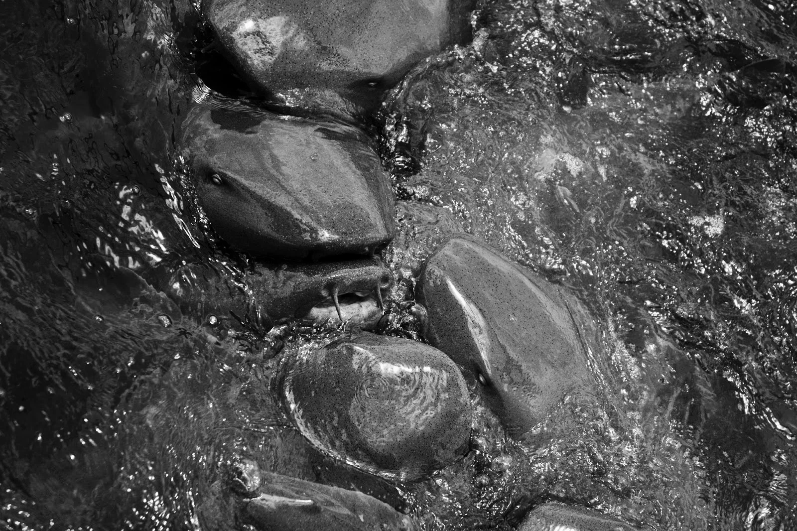 Episode 47: It All Stems from Naivety—Damascus, Where Binta Met an Old Man