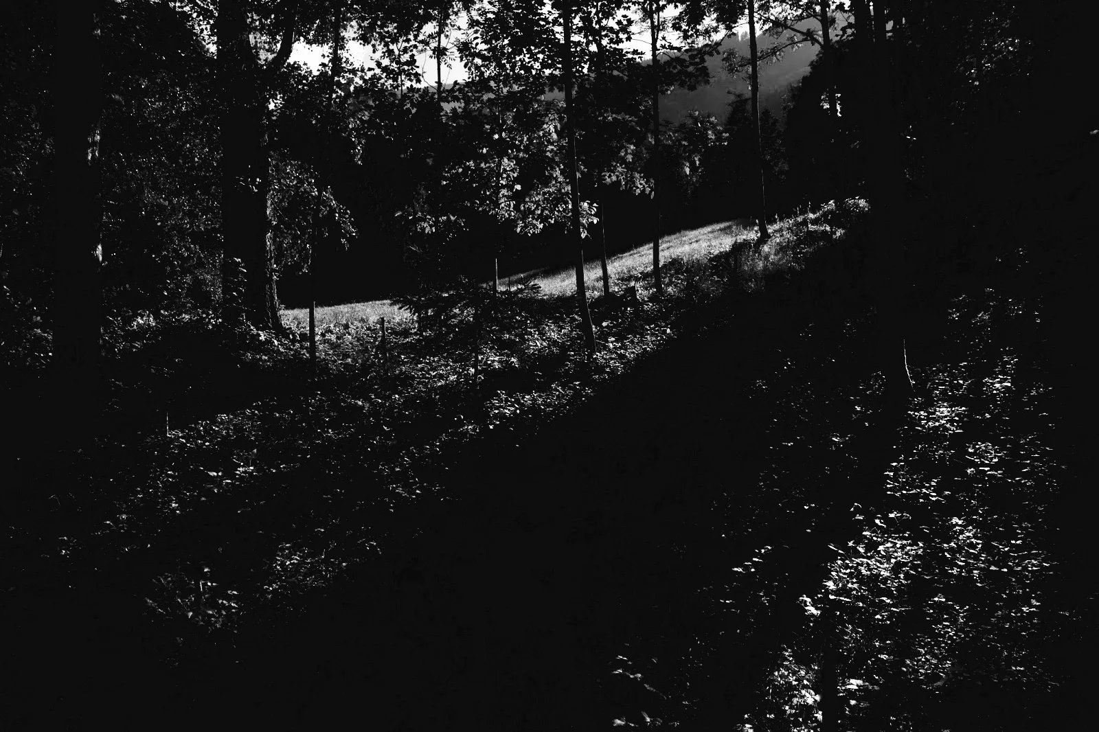 55 Melted Ego—Sri Lanka, Where Amin Quit Trance