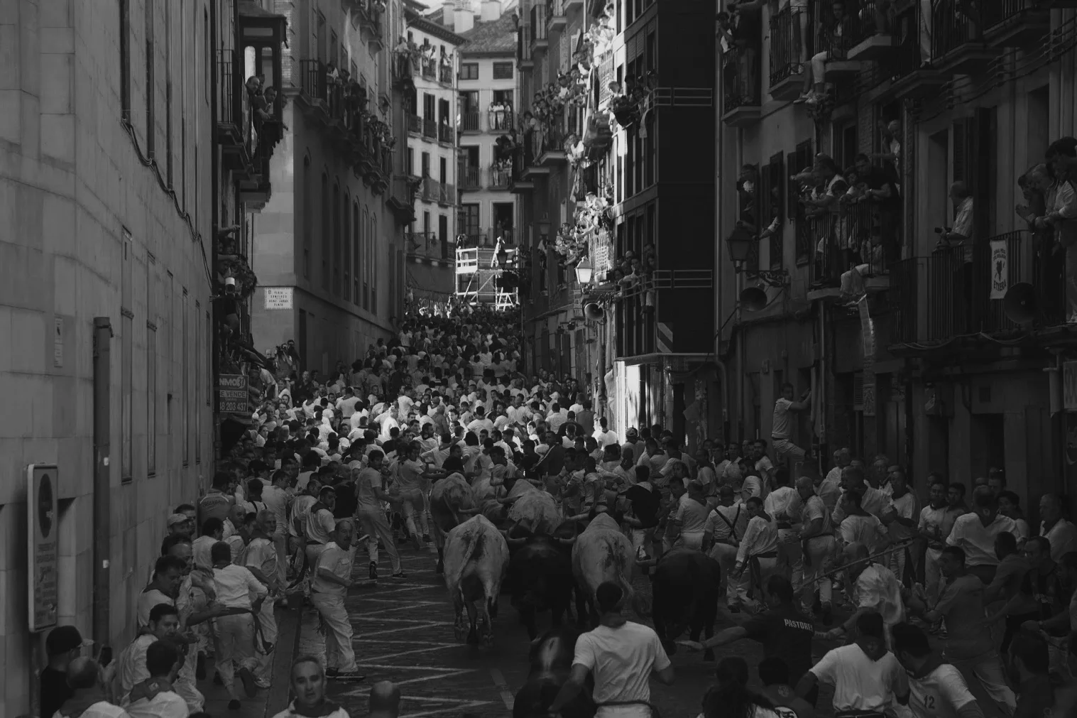 56 A Chasing after the Wind—Pamplona, Where Patxi Ran with the Bulls