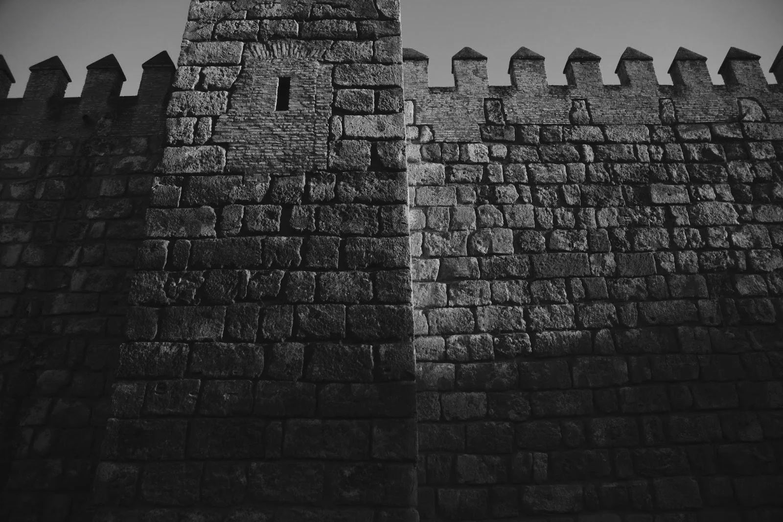 69 A Wild Olive Shoot, Grafted In—Spain, Where Mike Came to Build a Church