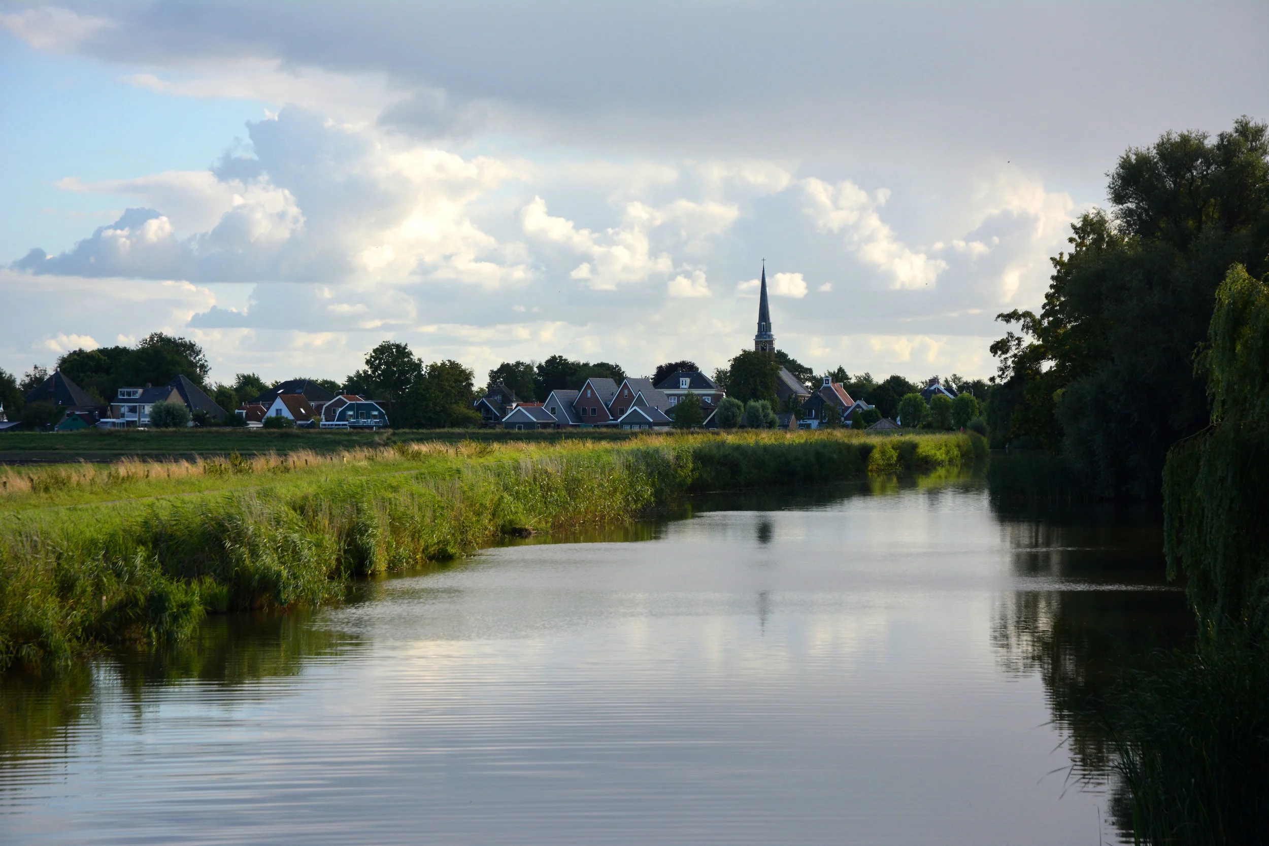 DSC_0088.jpg