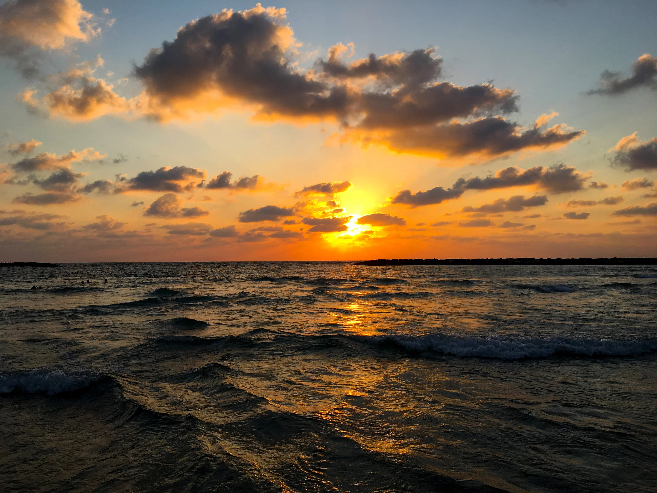 126 Vipassana—Tel Aviv, Where Meytal Wants to See