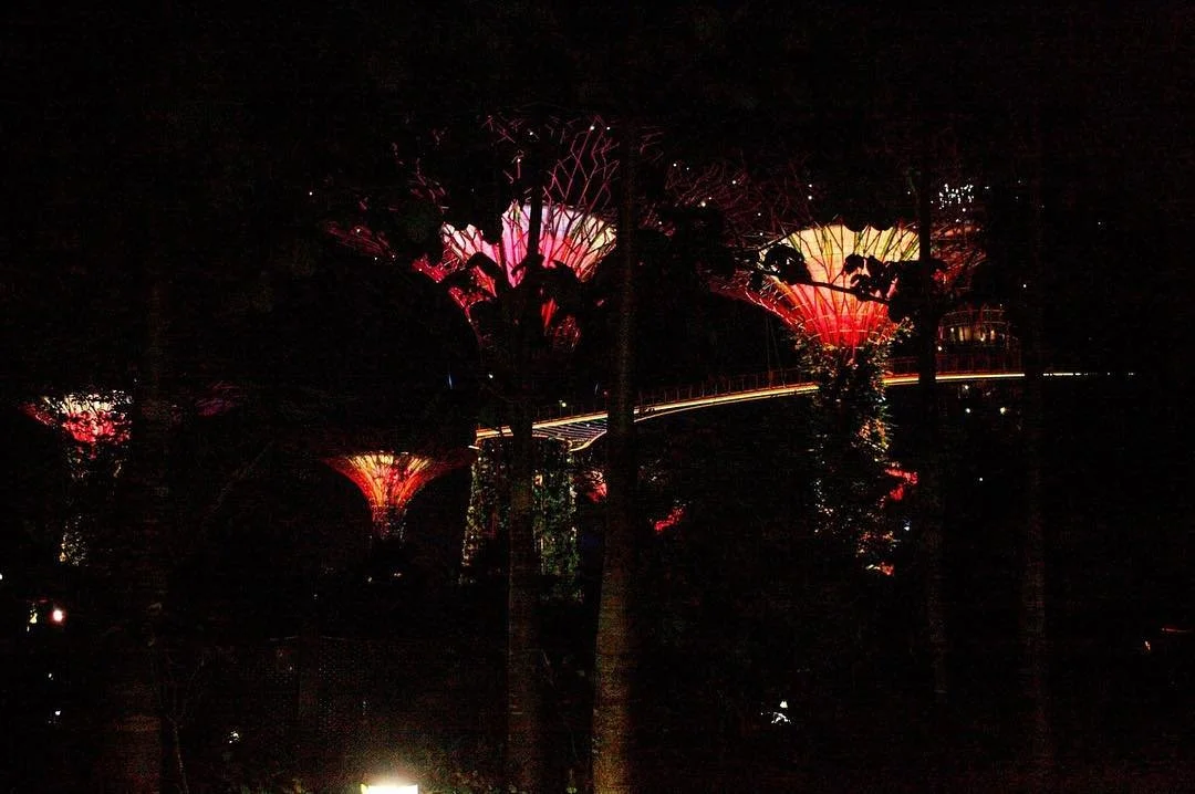 Magnificent light show powered by solar energy. Living green is still fun!
_______________________________________
#marinabay #cleanenergy #solarpower #sustainability #singapore #travel #ecotourism #greenplanet #greenliving #lightshow