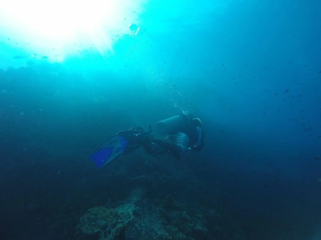 &quot;The sea, once it casts its spell, holds one in its net of wonder forever.&quot; Jacques Cousteau
______________________________________
#blueplanet #scubadiving #jacquescousteau #missionblue #planetearth #natgeoadventure #skyoceanrescue #PADI #