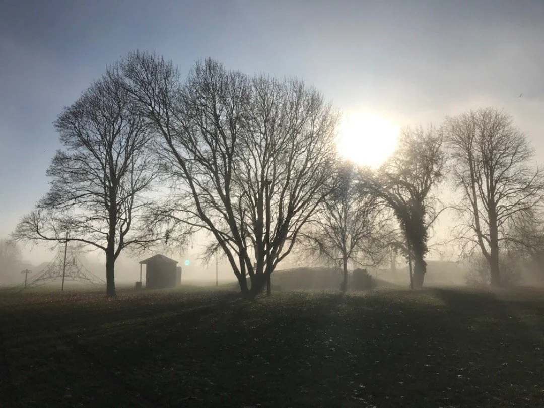 **OFFER OF SUPPORT**
As we continue in this time of uncertainty, with more spare time inside the house, I&rsquo;d like to offer up any support and advice I can. 
Social distancing is not actually new to me, I have been doing it for the last 8 months.