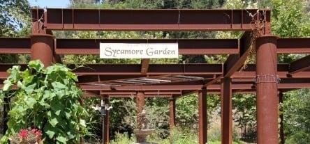 Sycamore-Garden-Avila.jpg